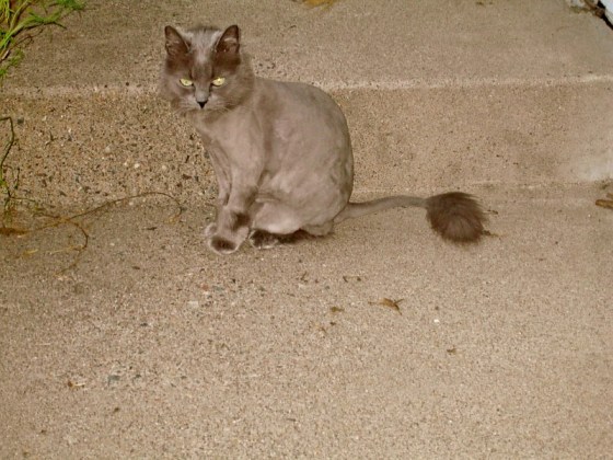 232323232fp63242>nu=3255>542>694>WSNRCG=334348-78432;nu0mrj