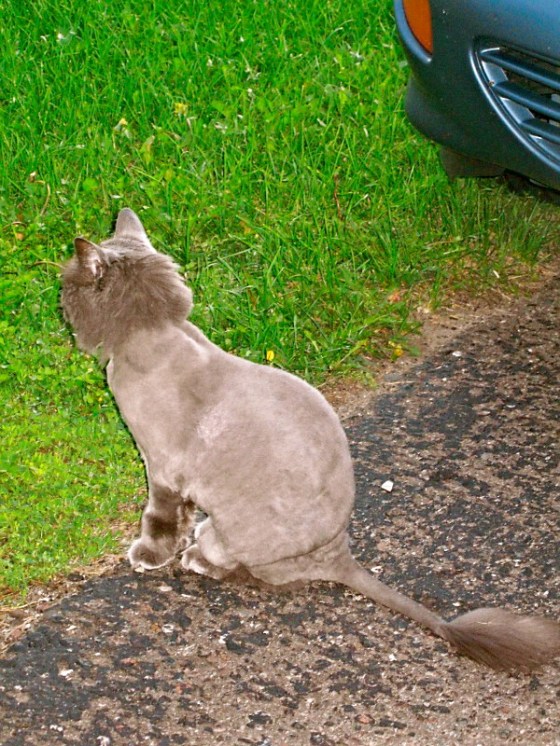 232323232fp63245>nu=3255>542>694>WSNRCG=334348-78732;nu0mrj