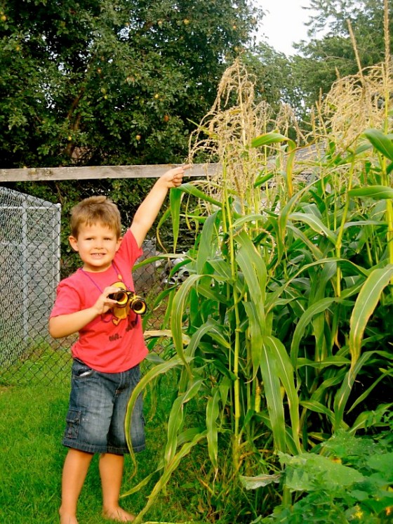 232323232fp63253>nu=3255>542>694>WSNRCG=334348575;32;nu0mrj