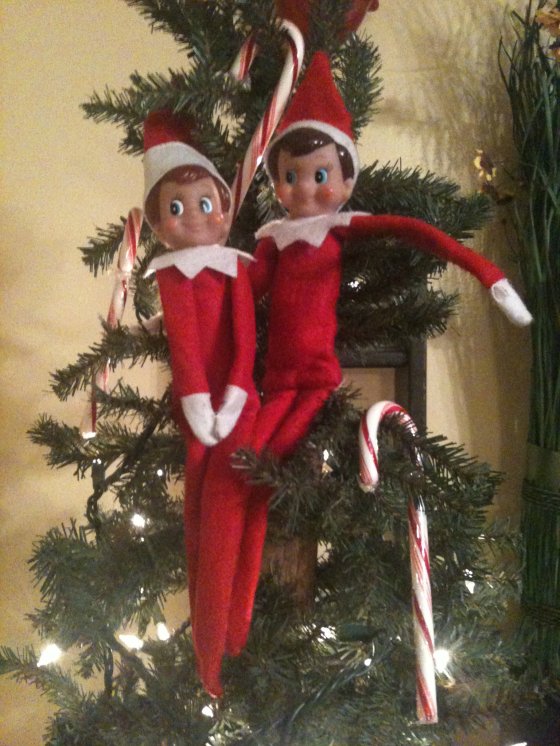 327308_10150377558226786_523721785_8713148_1417308145_o