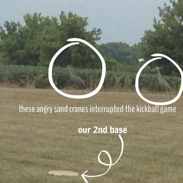 1176144_10151570123796786_1312984696_n