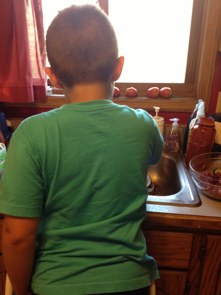 This is Punky helping with the grapes.   He couldn't reach the sink, so the step stool came out...
