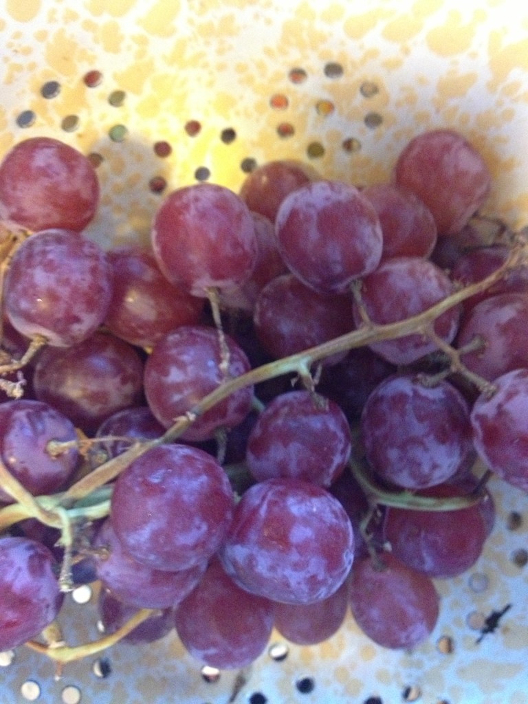 See that nasty waxy stuff on the grapes?  Ick!