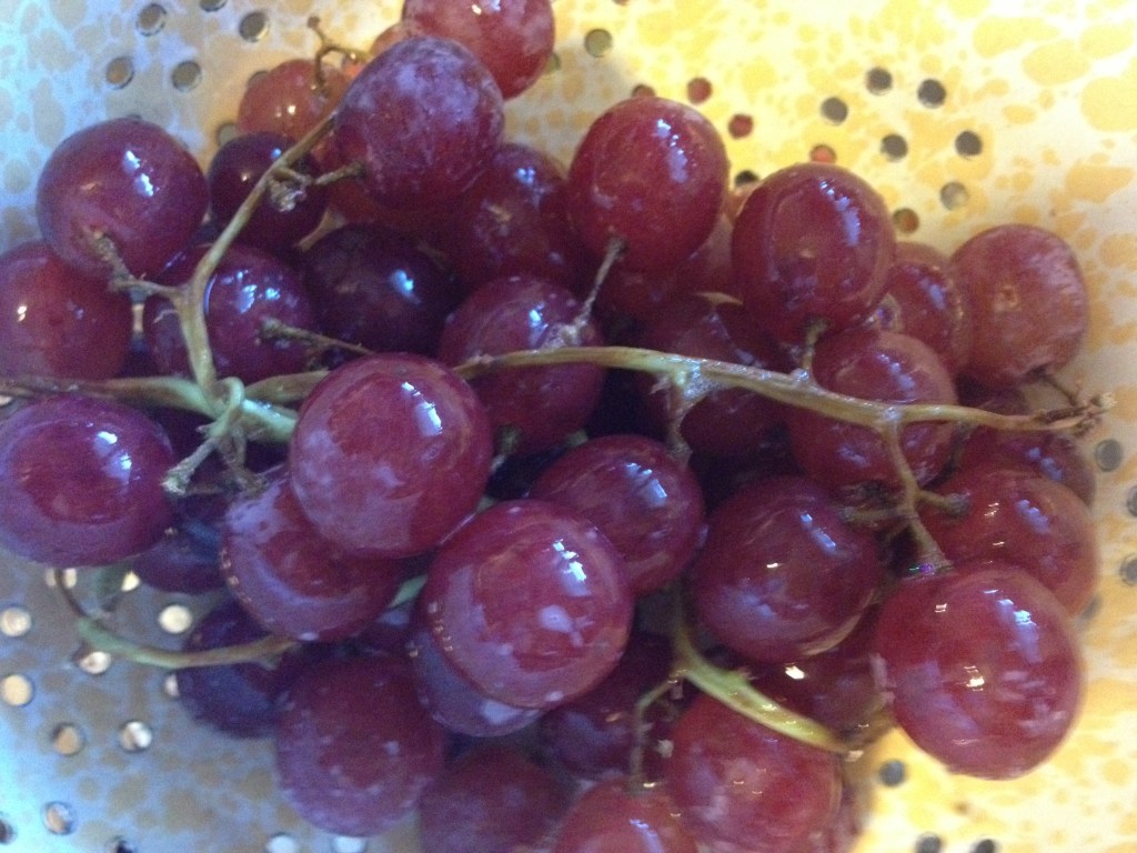 We have a pump full of water along with a few drops of Shaklee's Basic H cleaner.  A few squirts of that over the grapes...